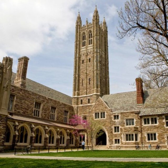 9. Princeton