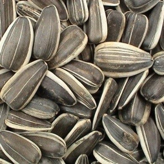 Bizim çekirdek dediğimiz bu tohumlar, her yerde rahatlıkla bulunabilen bir besin türüdür. Fitosteroller açısından zengindir. Günlük E vitamini ihtiyacınızı karşılar.