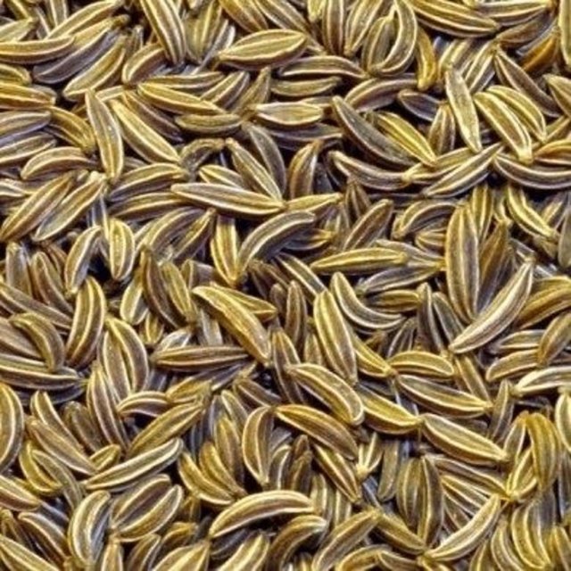 Baharat olarak da kullanılan kimyon tohumu, metabolizmanın hızlanmasına destek olan bir tohumdur.