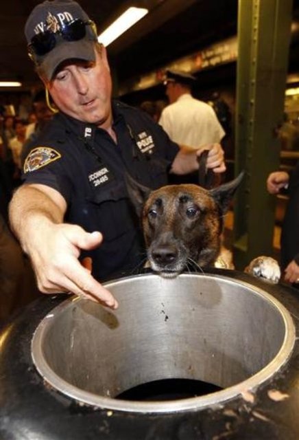 New York'ta IŞİD alarmı - Terör örgütü Irak Şam İslam Devleti'nin (IŞİD), internet üzerinden New York'a yönelik terör saldırısı çağrısında bulunması üzerine, başta Times Meydanı olmak üzere kentin önemli noktalarındaki güvenlik önlemleri artırıldı.