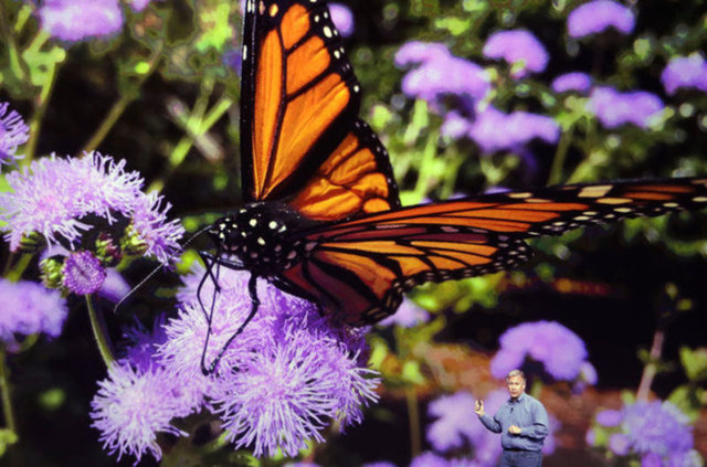 Böylece sizden başka kimse kredi kartı bilgilerine erişemiyor. Cihazda bulunan NFC yongası ile gerçekleştirilen ödeme istenildiği taktirde parmak izi teknolojisi yardımıyla da yapılabiliyor.