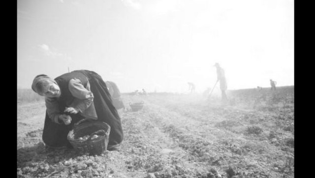 HOME FROM HOME - CHRONICLES OF A VISION (Die andere Heimat - Chronik einer Sehnsucht)