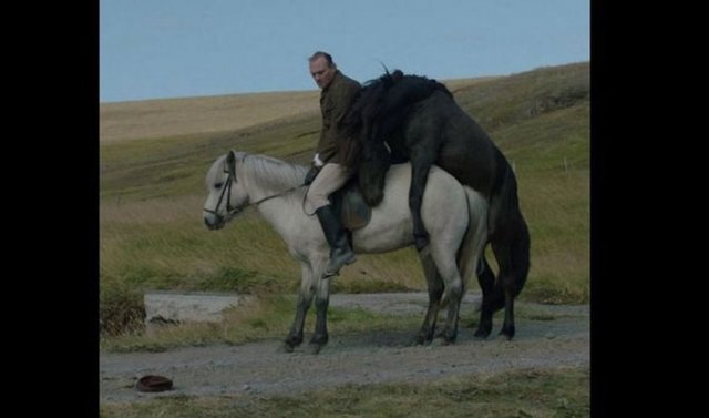 OF HORSES AND MEN (Hross í oss)