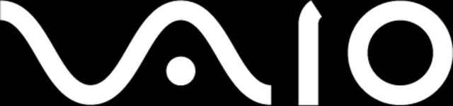 Sony Vaio'nun logosundaki ilk iki harf elektrikte analoğu temsil ederken son iki harf de bilgisayar dilindeki 1 ve 0'ı temsil ediyor.