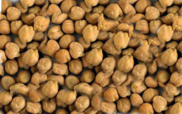 Karbonhidrat bakımından zengin olan nohut, kilo aldıran bakliyatlar arasında bulunur. Sağlıklı kilo almak isteyenler rahatlıkla yiyebilirler.