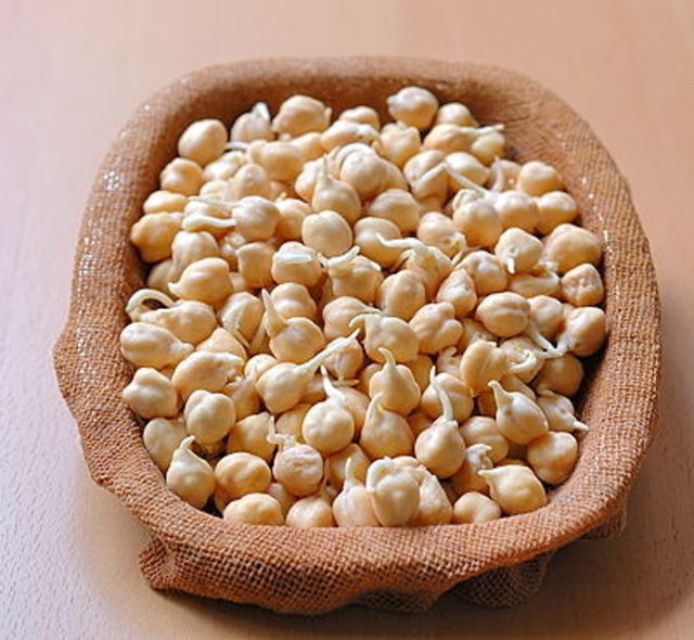 Lifli bir besin olan nohut kötü kolesterolün düşürülmesini de sağlar.