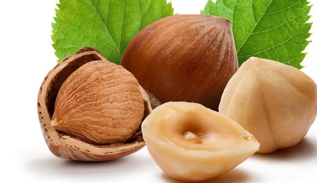 Fındık, karbonhidrat, protein ve yağ metobolizmasını düzenleyen "B" vitamini için çok önemli bir kaynaktır.