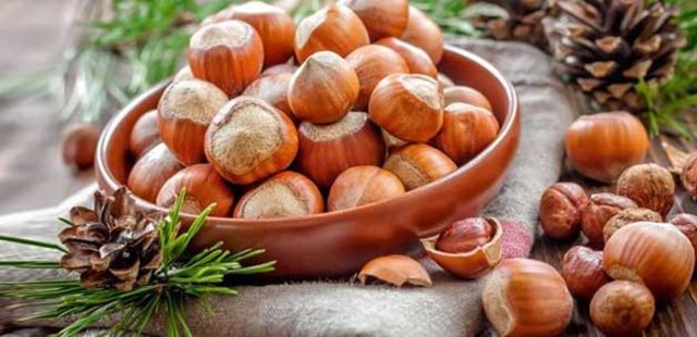 Çok iyi bir E vitamini kaynağıdır. E vitamini kalp, vücut kasları, üreme sistemi açısından oldukça faydalıdır.