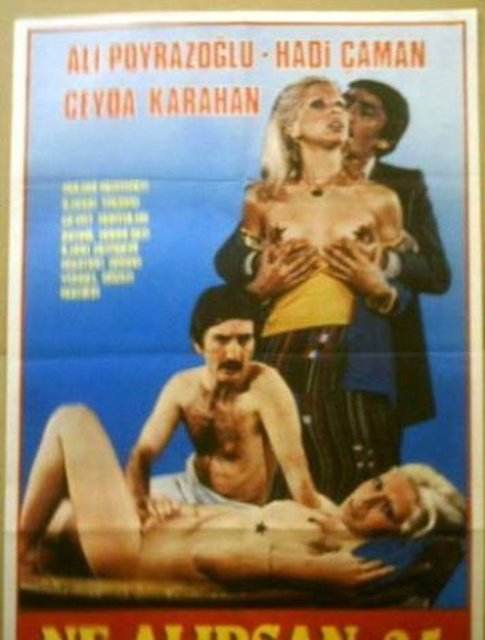 Erotik filmlerin ilginç afişleri...
