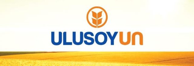 Firma adı:Ulusoy Un Sanayi - İli:Samsun - Ciro (TL):690.965.705 - Sektör:Gıda