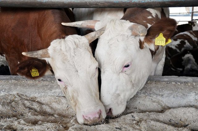 4. Çevre temizliği için gerekli tedbirler alınmalıdır.