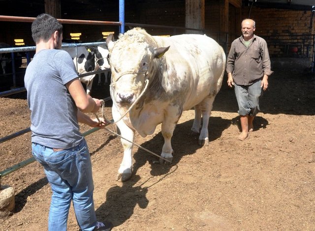 Fakat temel ihtiyaçları ve borçları için ayıracağı para haricinde bu kadar bir mala sahip olmayan kişinin kurban kesmesi gerekmez.