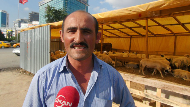 Sakarya - 550-900 TL/baş - Canlı kilo: 12 TL