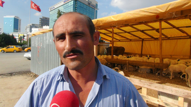 İzmir - 850-1.350 TL/baş - Canlı kilo: 16 TL