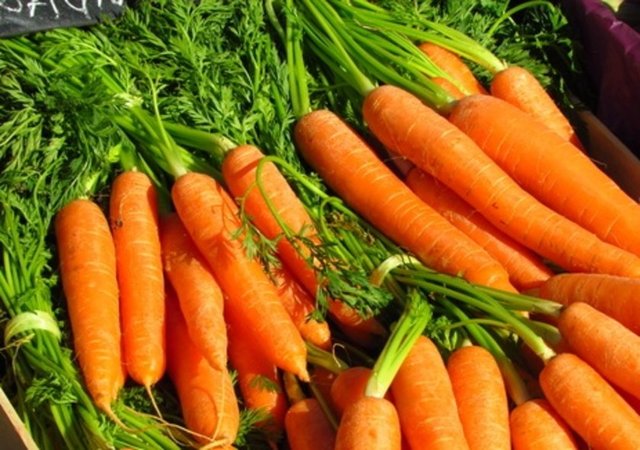 Havuçların rengi  17. yy kadar turuncu değil mordur.