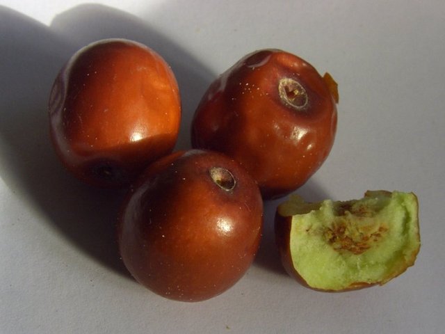 Nezle ve soğuk algınlığına karşı direnci artıyor.