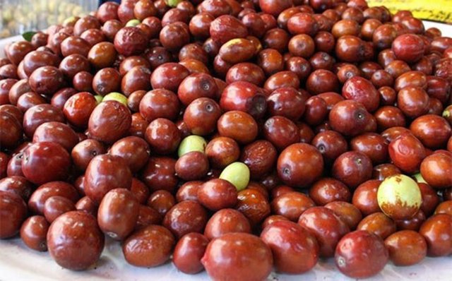 Mayıs ve haziran aylarında yetişen, güzel kokulu ve 4-5 metrelik bir ağacın meyvesi olan hünnap, halk arasında "doktor hünnap'' olarak da biliniyor.