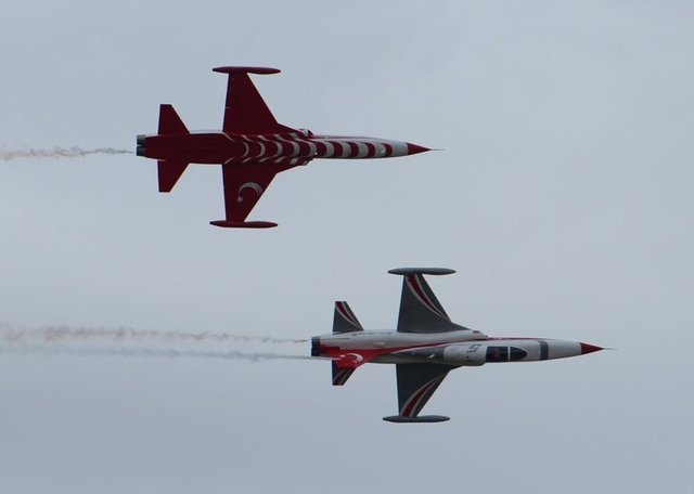 Günar, gövde altındaki ay yıldızı ise "Nereden bakılırsa bakılsın Türk bayrağını başımız dik ve yukarıda görmek isteyişimizden dolayı resmedilmiştir" diyerek açıkladı. -