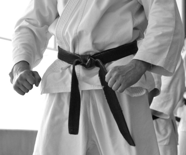 Bunlar arasında en yaygın olanı ise şu: karate öğrenmeye beyaz kuşakla başlayan öğrenciler her yeni kademeye ulaştıklarında kuşakları başka bir renge ulaşıyor.