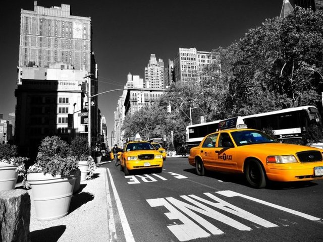 Taksiler neden sarıdır? - Eğer New York'ta 1905 yılında bir taksi çevirseydiniz, sizi gitmek istediğiniz yere kırmızı-yeşil, cafcaflı bir araba götürüyor olabilirdi. Peki ne oldu da renkler sabitlendi? -