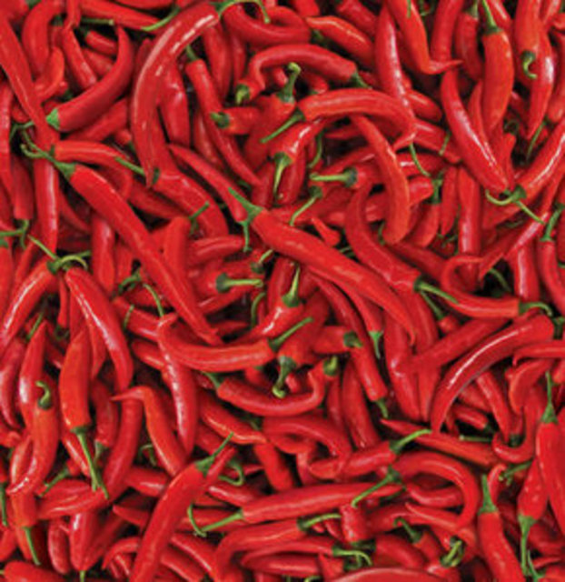 Acı biber, yedikten sonra vücut 20 dakika boyunca ekstra kalori yakımına neden olan bir besin ve termojenik bir etkiye sahip. Kilo kaybına neden oluyor tabii acıyla aranız iyiyse.