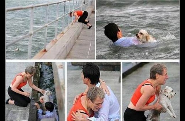 Denize düşen minik köpeği yaşlı sahibi kurtaramayınca imdanına yardımsever bir adam yetişti.