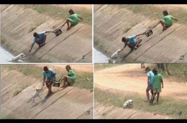 İki arkadaş hendeğe düşen köpeği kurtarıyor.