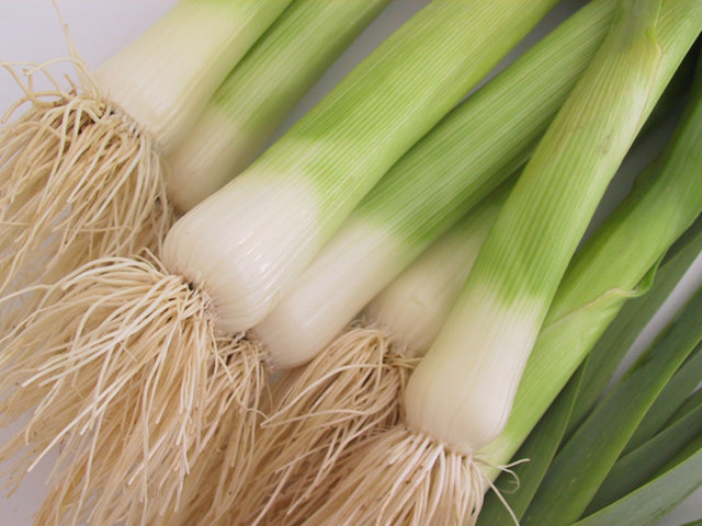 Farklı türleri bulunan pırasa lif açısından zengindir, içeriğinde az da olsa protein bulunur.