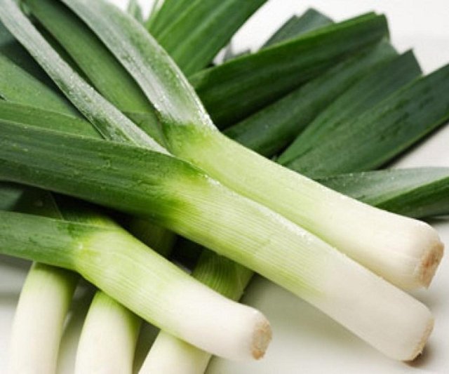 Pırasanın faydaları arasında en önemlisi sindirim sistemini çalıştırmasıdır. Hazım problemi yaşayan kişilerin pırasa tüketmesi bağırsakların çalışmasını ve kabızlığın giderilmesini sağlar.