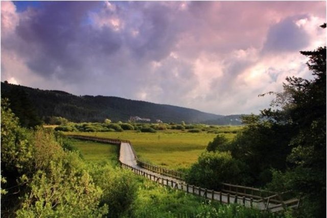 Abant Gölü - Abant'a kendi arabanızla gidiyorsanız, Bolu-Ankara arası 191 km, Bolu-İstanbul arası mesafe 242 km. Bolu'dan Abant'a minibüs seferleri de mevcut.