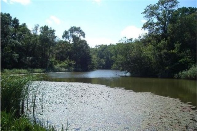İğneada - Mis gibi çam kokuları arasında yürüyüşlere katılabilir, 6. yüzyılda yapılmış olan Kale ve Aya Nikola Manastırlarının bulunduğu İğneada'da tarihi gezilerle de vakit geçirebilir bilgi edinebilirsiniz.