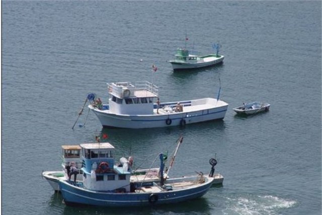 Kıyıköy - Karadeniz'in zengin mutfağından çeşitli yemekler tadabileceğiniz Kıyıköy'de salaş mekanlar göze çarpıyor. Buralarda Kıyıköy'le özdeşleşmiş kalkan, lüfer ve çinekop balıklarından birini mutlaka tatmalısınız.