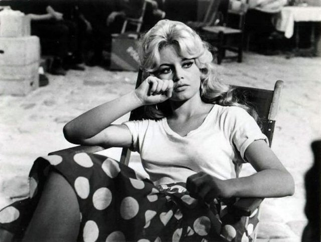 Artık aşırı sağcı Ulusal Cephe'nin savunucularından Bardot, daha önce Kurban Bayramı dolayısıyla Müslümanları sert bir dille eleştirmiş ve yargılanıp para cezası almıştı.