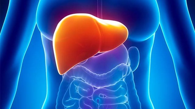 Yüksek fruktozlu diyet, zamanla karaciğerdeki yağ miktarını arttırır ve bu da ilerleyerek non-alkolik karaciğer yağlanması hastalığına dönüşebilir.