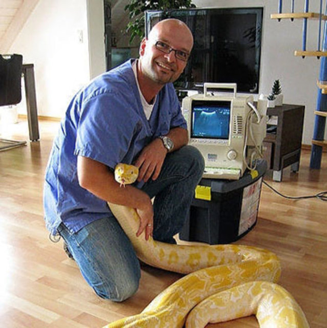 Bu görmüş olduğunuz dev yılan ailenin bir ferdi gibi. -