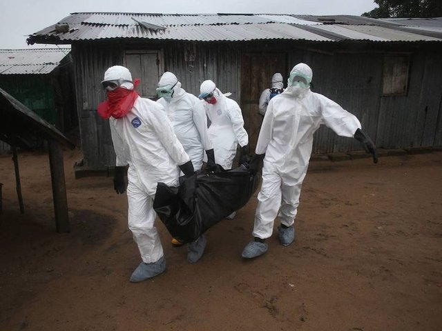 Liberya'da Ebola virüsü sebebiyle hayatını kaybeden 60 yaşındaki bir hastanın cenazesi, yetkili ekip tarafından dışarı çıkarılıyor.