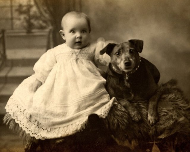 Sararan fotoğraflar: Eğer fotoğraflarınız sararmaya başlıyorsa bunun suçlusu güneştir. Birçok fotoğraf ışıkla temas edince oksitlenen kimyasallarla oluşturulmuştur bu da fotoğraflarınızın sararmasına neden olur.