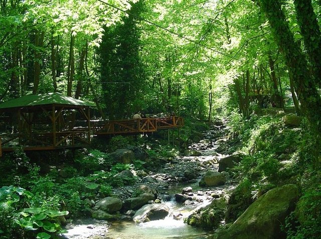 5. Polonezköy'de gezintiye çıkmak.