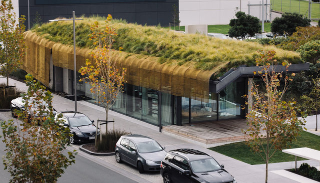 En İyi Görüntü (Yeni Zelanda)  - Fearon Hay Architects'den Te Kaitaka 'The Cloak'(Pelerin): Binanın çatısına hasır üstüne ekilmiş çimden yapılan bir 'pelerin' koyuldu. Yapı Auckland havaalanının bir parçası olarak inşa edildi.