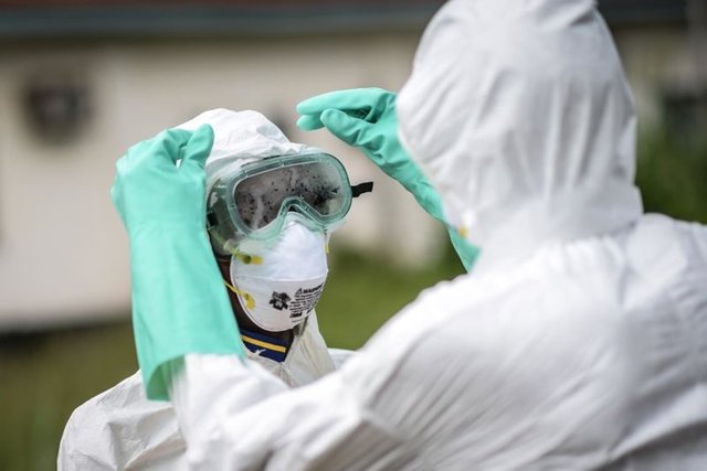 Hastalık ilerledikçe kusma, ishal, böbrek ve karaciğer sorunları ve bazı vakalarda iç ve dış kanamaya sebep oluyor.  -
