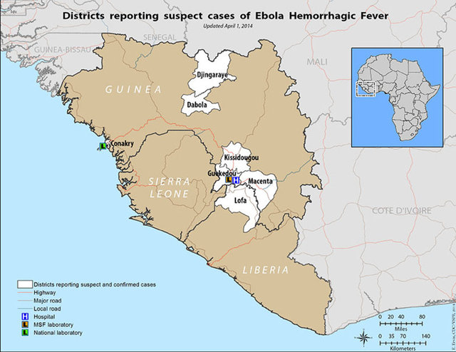 2-Ebola tam olarak nerede: Günümüzde hastalık Orta ve Batı Afrika ülkelerinde yaygın durumda. Bu bölgeler virüslerin hayvan yoluyla taşınmasının en kolay olduğu bölgeler.