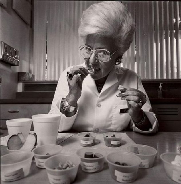 Köpek maması denetleyicisi