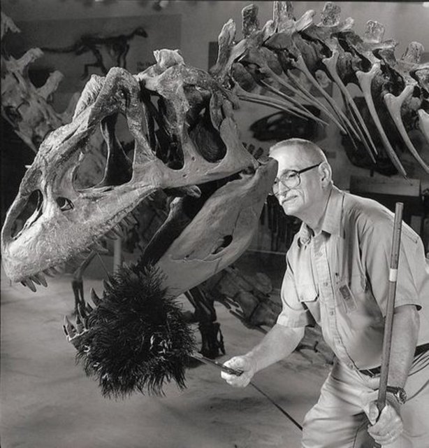 Dinazor tozu alıcısı