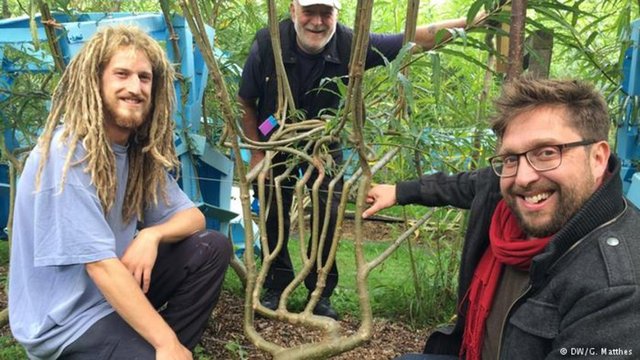 Peki Gavin Munro sandalye tasarımcısı mı, yetiştiricisi mi, kararı siz verin. Çılgın tasarımcı bu sıra dışı imalatı nasıl beceriyor?