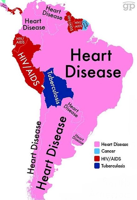 Brezilya, Arjantin, Şili, Paraguay, Uruguay, Kolombiya gibi ülkelerde en çok ölüme sebebiyet veren neden kalp hastalıkları. Bunu yanında Peru, Ekvador ve Surinam'da en fazla canı AIDS alıyor. Bolivya'da ise Tüberküloz en fazla hayata mal oluyor.