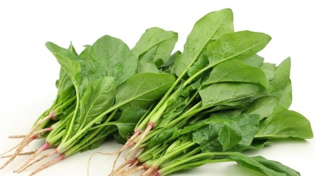 Zengin içeriği sayesinde en faydalı sebzeler arasında bulunan ıspanak A, C, E, K ve B grubu vitaminleri ile demir açısından zengin olan magnezyum, fosfor, potasyum ve sodyum minerallerini de içeriyor.