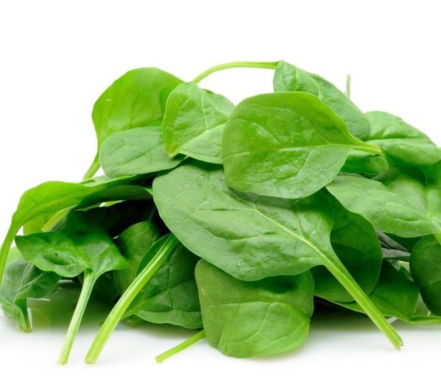 Yüksek tansiyona, felce ve özellikle yaşlanmaya bağlı görme bozukluklarına iyi gelir.