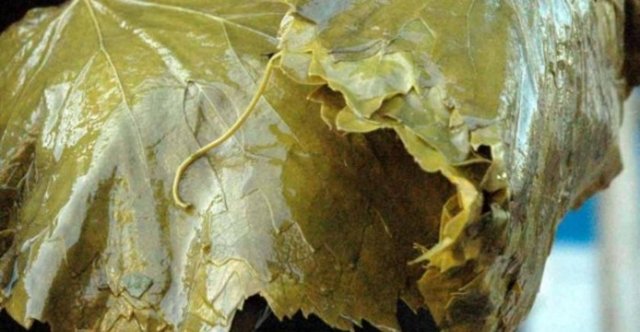 74. TOKAT - Asma Yaprağı