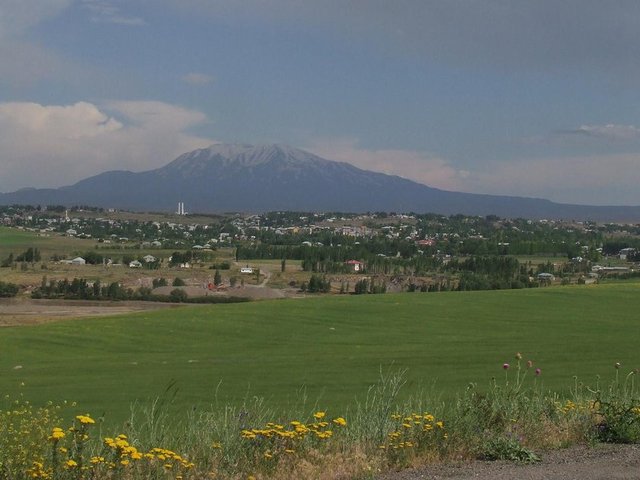 60. MUŞ - Malazgirt Ovası