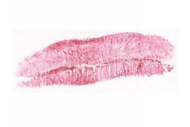 KAPALI DUDAK İZİ - Ne söylüyor:İnatçı! - Bir kere kararınızı verdikten sonra fikrinizi değiştirmezsiniz ve başka birinin fikrinizi değiştirmesi de çok zordur.